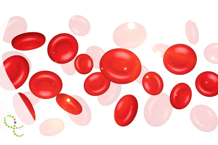 O Perigo Oculto do Ferro na Talassemia Minor